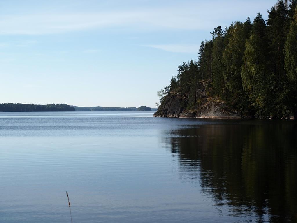 Kuoreksenniemi Villas & Lakehouse Puumala Exterior foto